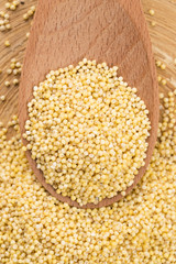millet groats