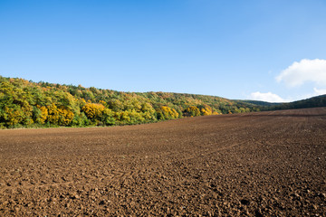 Agricultural field