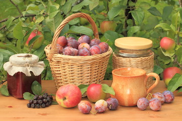 Fruit piece with dragonfly.