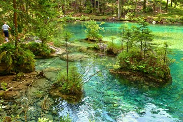 Spring of Kamnik Bistrica, Slovenia (summer 2014)