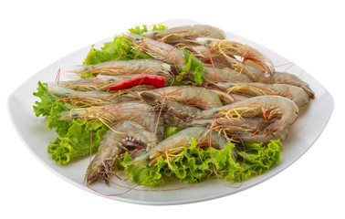 Raw tiger shrimps