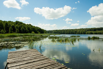 Obraz na płótnie Canvas Bridge over a lake in the woods