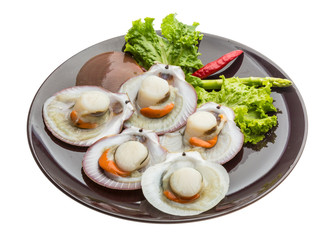 Raw fresh scallop