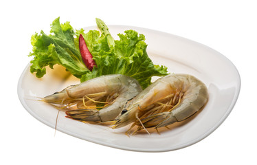 Tiger prawn