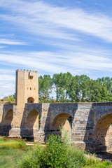 Fototapeta na wymiar Medieval bridge in Burgos, Spain.