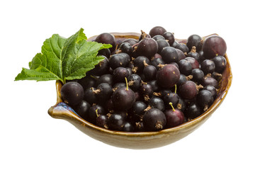 Black currant