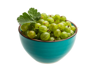 Gooseberry