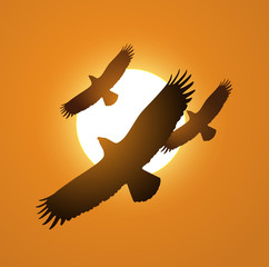 Obraz premium Three eagles above the sunset flying illustration