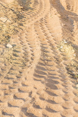 Wheel tracks on dirt