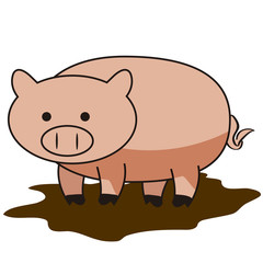 animals