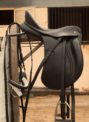 Bridle and horse saddle