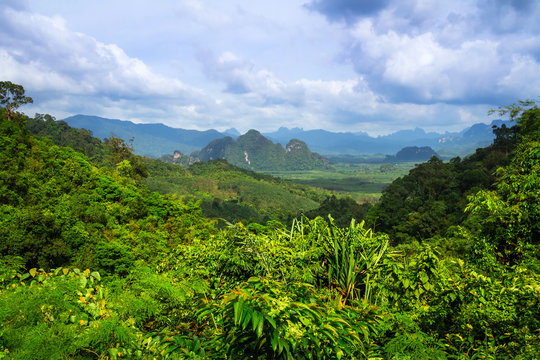 Fototapeta Rainforest of Khao Sok National Park in Thailand