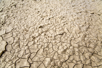 Soil cracks