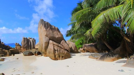 Plage tropicale et palmiers
