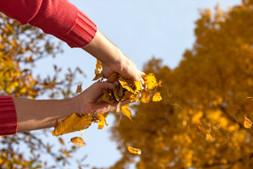 Hands with leaves