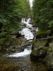 Rieslochschlucht