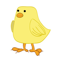 pet