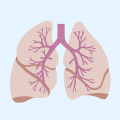 lungs