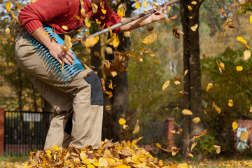 Musical gardener