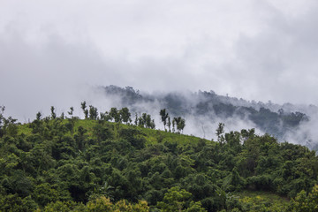 Lao Mountains Covered in Fog