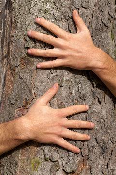 Hands on tree