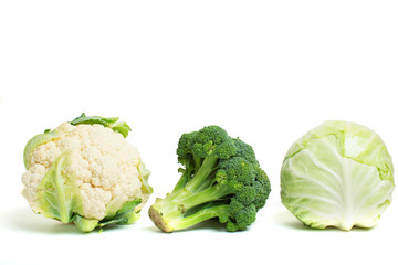 Collection of different varieties of cabbage.