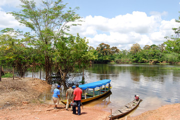 Naklejka na ściany i meble Amazon rainforest - Canoe expedition near Manaus, Brazil