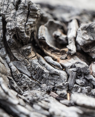 Old wood background