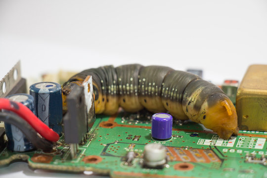 Malicious computer worm that secretly ruining your computer.