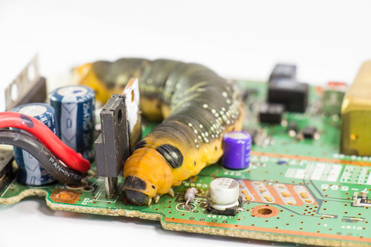 Malicious computer worm that secretly ruining your computer.