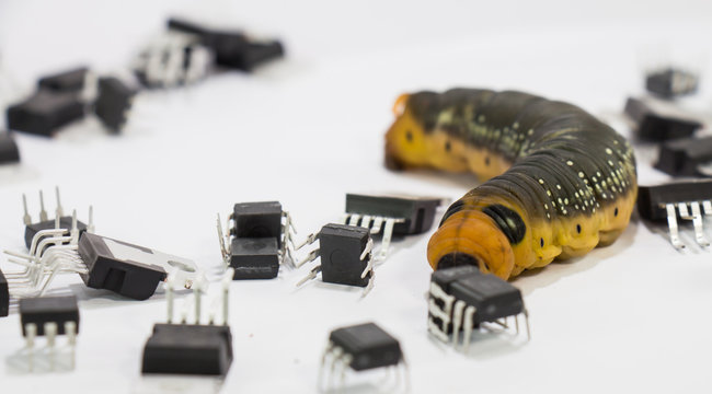 Malicious computer worm that secretly ruining your computer.
