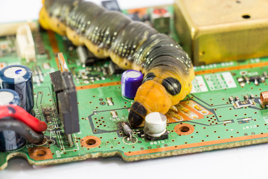 Malicious computer worm that secretly ruining your computer.