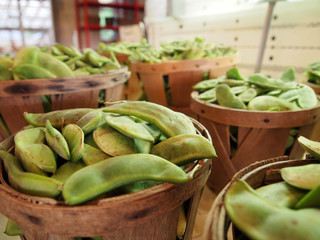 Lima Beans in Bushel Baskets