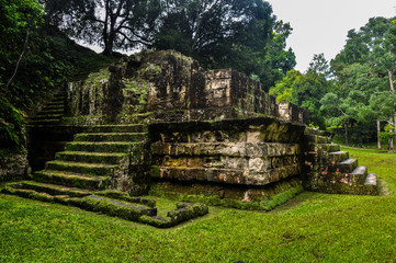 Fototapeta na wymiar Majestic Tikal Ruins, in Guatemala