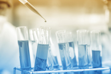 the laboratory test tubes with colorful liquid