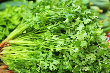 fresh vegetables - coriander in the market.