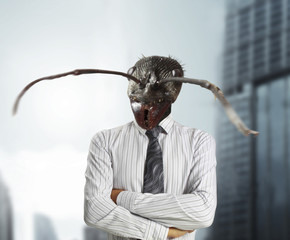 Businessman with a ant's head