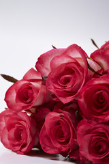 roses