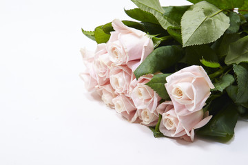 roses