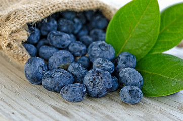 blueberries in burlap bag with leaves