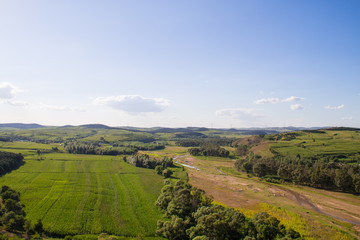 Rural landscape