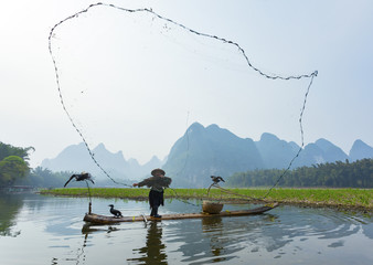 Fototapeta Cormorant, fish man and Li River scenery sight  obraz