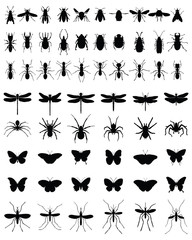 Black silhouettes of insects on white background, vector