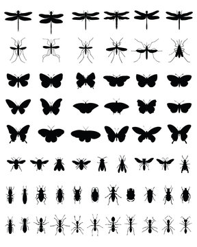 Black silhouettes of insects, vektor