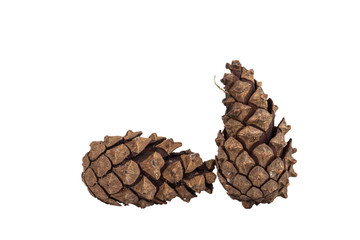 Two pine cones isolated on white background