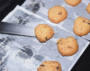 Cashew nut cookies on steel grid