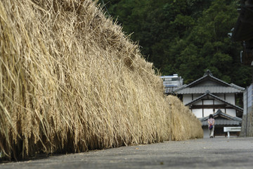 稲藁の道