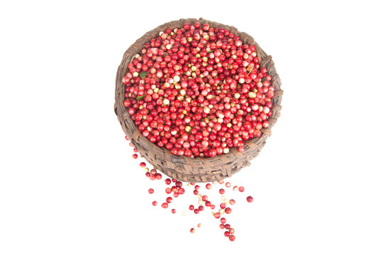 berries a cowberry in the old basket isolated on white backgroun