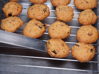 Cashew nut cookies on steel grid