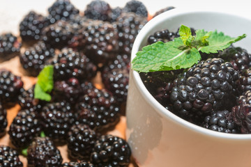 Blackberries with mint  in cup, macro.